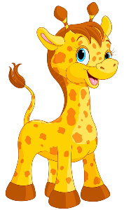 a cute giraffe 